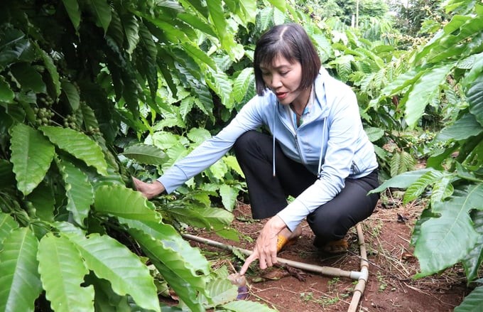 Ms. Mai Thi Nhung said that using bottles to measure soil moisture in farming helps save irrigation water and related costs. Photo: Quang Yen.
