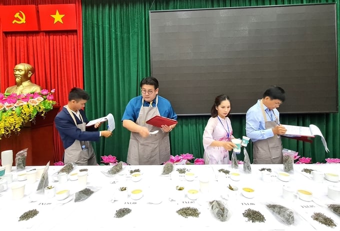 Ban giám khảo chấm thi tại hội thi trà shan tuyết tỉnh Hà Giang năm 2023. Ảnh: Đào Thanh.