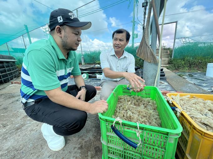 Mô hình chế biến vỏ tôm thành phân hữu cơ của Công ty Long Nghĩa. Ảnh: Trọng Linh.