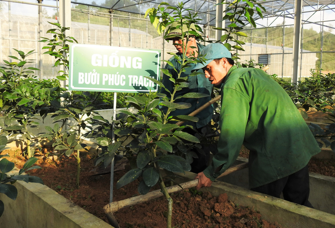 Năm 2017, thông qua sự kêu gọi của của lãnh đạo tỉnh Hà Tĩnh, Tập đoàn VinGroup đã hỗ trợ Trung tâm Khuyến nông Hà Tĩnh hơn 3 tỷ đồng thực hiện cải tạo, nâng cấp Trại giống Truông Bát thành cơ sở bảo tồn nguồn gen và sản xuất giống cây ăn quả có múi của tỉnh.