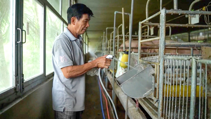 Toàn TP Cần Thơ có 289 trang trại chăn nuôi gia súc, gia cầm, nhưng chủ yếu là trang trại quy mô vừa và nhỏ, hoàn toàn 'vắng bóng' những trang trại quy mô công nghiệp. Ảnh: Kim Anh.