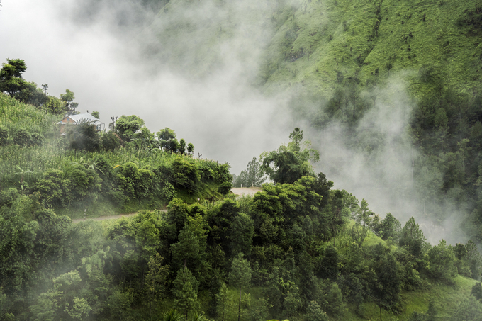 The diverse and wide range of projects in FAO’s GCF portfolio improve livelihoods and food security with climate-resilient crops, agroforestry, sustainable fisheries, and better land and water management.