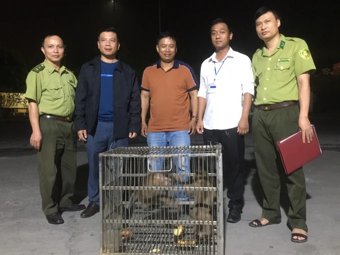 Authorities receive rare monkeys from people. Photo: A.K.