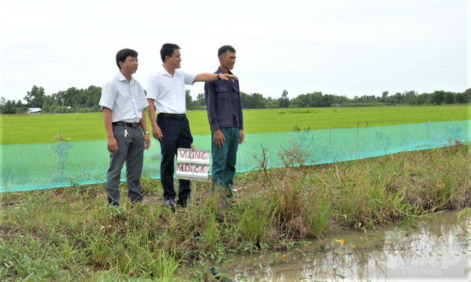 Hau Giang encourages farmers to convert ineffective rice-cultivating land to fish farming and supports the construction of the model 'Fish farming in rice fields towards enhancing value associated with community linkage'. Photo: Trung Chanh.