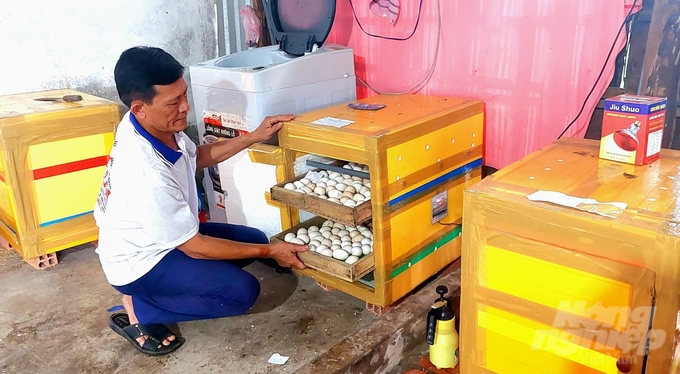 Ông Thái Thành Lập đầu tư 3 lò ấp trứng để bán con giống. Ảnh: Kiều Trang.