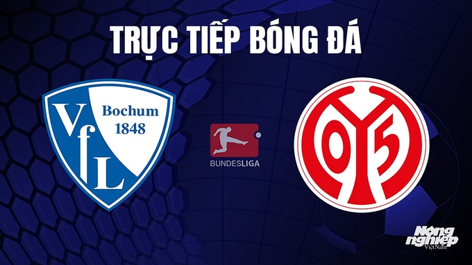 Trực tiếp bóng đá Bundesliga (VĐQG Đức) 2023/24 giữa Bochum vs Mainz 05 hôm nay 28/10/2023