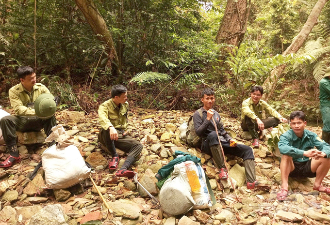 Công tác giữ rừng nơi đại ngàn Pù Mát không hề giản đơn. Ảnh: Việt Khánh.