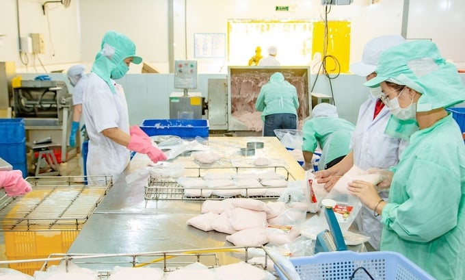 Vietnam Association of Seafood Exporters and Producers (VASEP) and other associations recommend shortcomings in the Draft Law on Social Insurance. Photo: Nguyen Thuy.