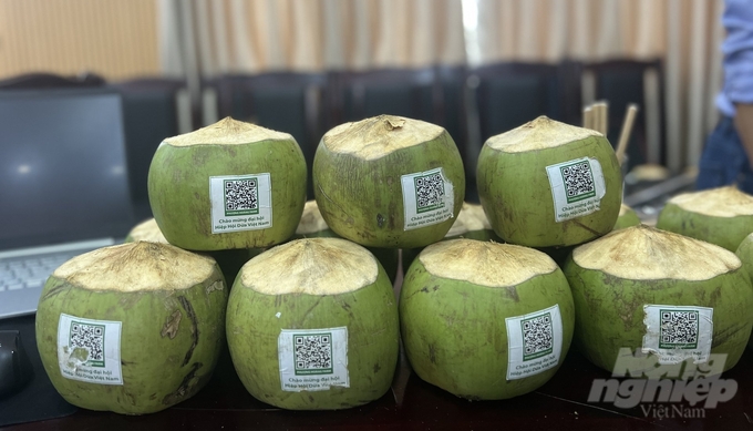 Dừa tươi hữu cơ của HTX Phượng Hoàng Farm (Ninh Hòa, Khánh Hòa) được dán mã QR code trên từng trái để người tiêu dùng dễ nhận biết thương hiệu. Ảnh: Nguyễn Thủy.