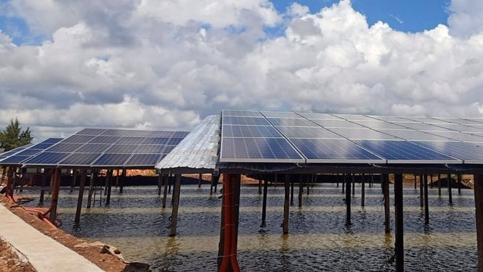 Super-intensive shrimp farming model combined with solar power in Bac Lieu. Photo: ST.