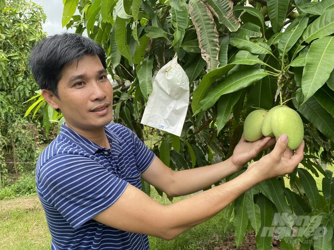 Vietnam has received notifications from WTO member states regarding various measures to prevent the spread of diseases in the export and import of agricultural products from Vietnam. Photo: Le Hoang Vu.