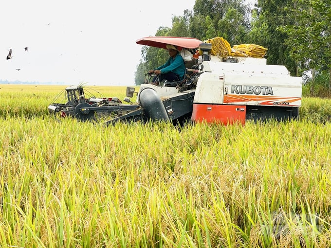 The European Union issued 31 violation warnings with regards to the excessive levels of pesticide residues in Vietnamese agricultural products in the first six months of 2023. Photo: Le Hoang Vu.