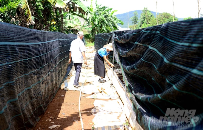 The earthworm farming area was built in the garden of an affiliated household. Photo: Minh Hau.