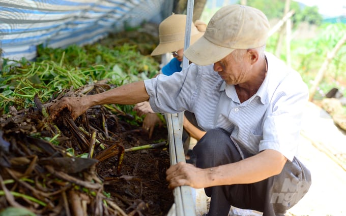 Agricultural waste products are used as food for earthworms. Photo: Minh Hau.