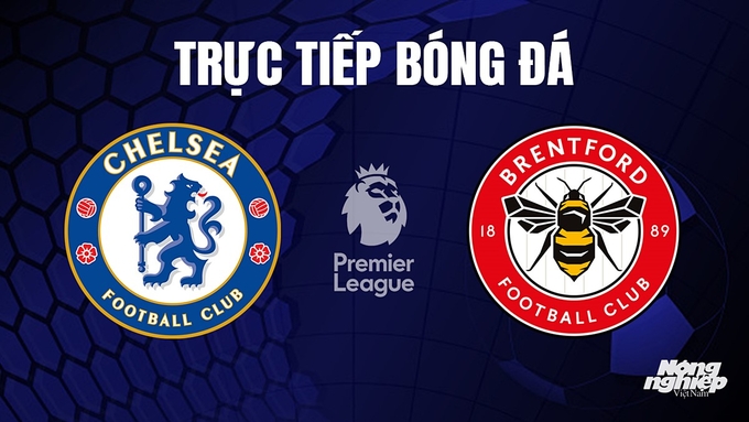 Trực tiếp bóng đá Ngoại hạng Anh giữa Chelsea vs Brentford hôm nay 28/10/2023