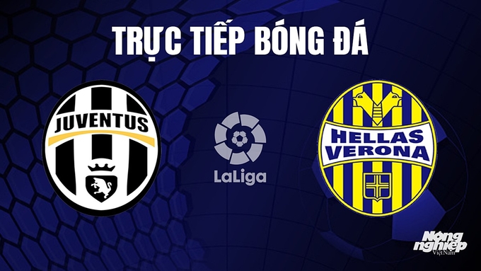 Trực tiếp bóng đá Serie A 2023/24 giữa Juventus vs Hellas Verona hôm nay 29/10/2023