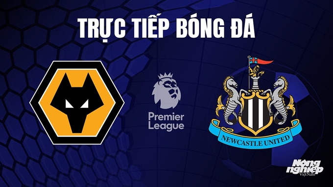 Trực tiếp bóng đá Ngoại hạng Anh giữa Wolves vs Newcastle United hôm nay 28/10/2023