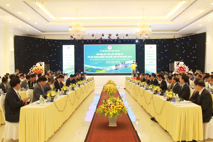 Hội nghị xúc tiến, kết nối đầu tư tại tỉnh Yên Bái có hơn 50 công ty, doanh nghiệp Hàn Quốc tham dự. Ảnh: Thanh Tiến.