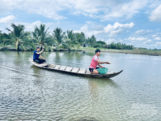 The model helps participating farmers earn 2.8 times more profit than outside households. Photo: Trong Linh.