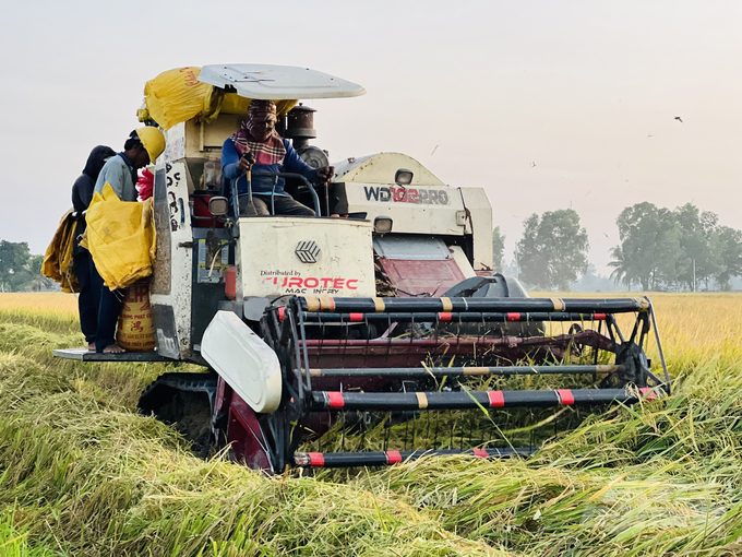 Products from the rice-shrimp model according to international certification will bring high economic value to farmers. Photo: Trong Linh.