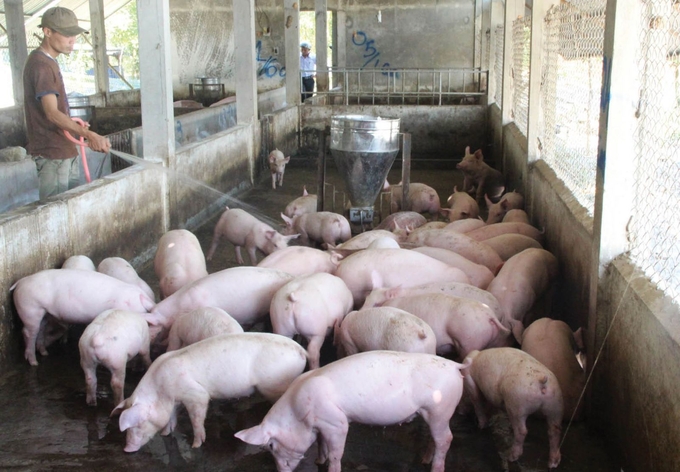 Wastewater in pig farming should be considered a precious resource for a circular agricultural economy.