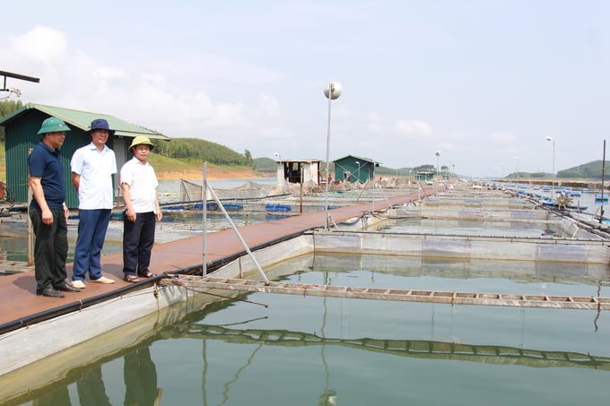 HTX thủy sản Hoàng Kim (huyện Yên Bình) có 300 lồng bè nuôi cá trên hồ Thác Bà. Ảnh: Thanh Tiến.