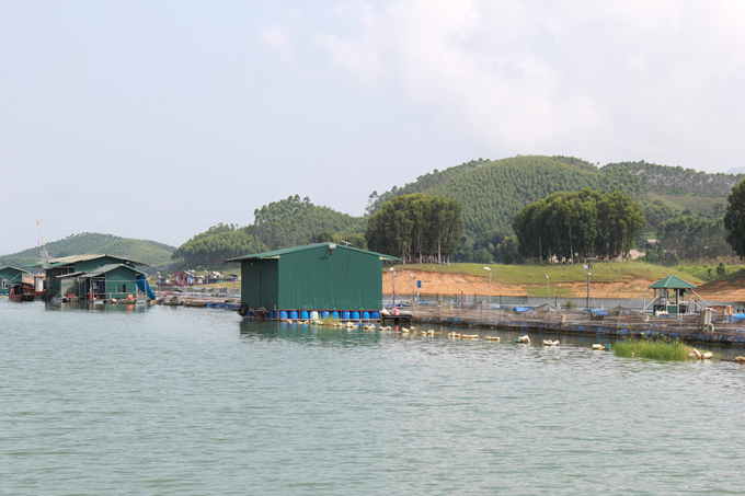 Nghề nuôi cá lồng trên hồ Thác Bà đã tạo sinh kế cho nhiều hộ dân ở Yên Bái. Ảnh: Thanh Tiến.