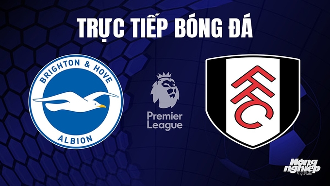 Trực tiếp bóng đá Ngoại hạng Anh giữa Brighton vs Fulham hôm nay 29/10/2023