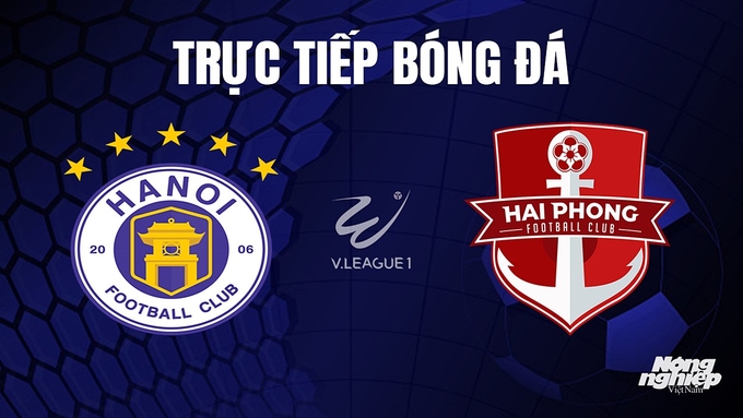 Trực tiếp bóng đá V-League 2023 giữa Hà Nội vs Hải Phòng hôm nay 29/10/2023