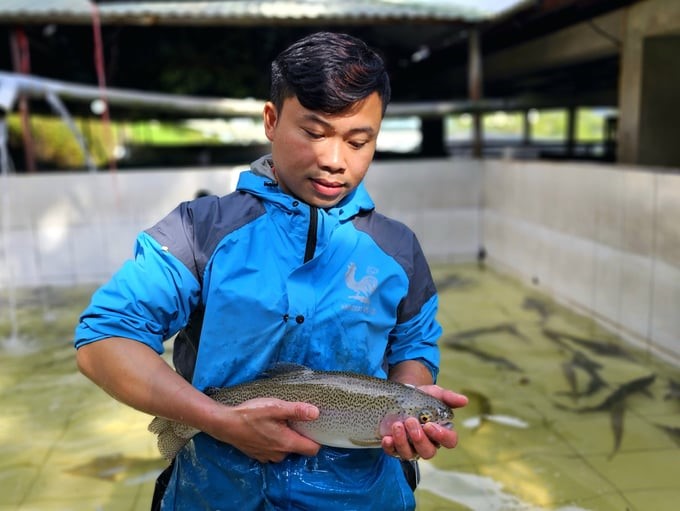Sa Pa salmon is of high quality, fresh, and delicious and is not inferior to imported fish. Photo: Hai Dang