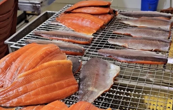 Sa Pa salmon is salted and smoked with oak wood, which is very favored by customers. Photo: Hai Dang.