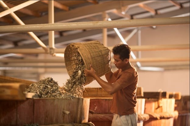 During his visit to the Phu Quoc barrel house, Chad Kubanoff went from one surprise to another when witnessing the elaborate process to produce high-quality fish sauce.