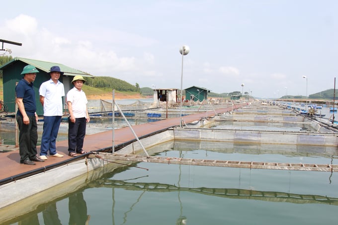 Hoang Kim aquacultural cooperative in Yen Binh district manages 300 fish cages on Thac Ba Lake. Photo: Thanh Tien.