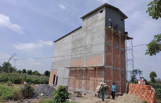 Dak Lak has favorable conditions so bird's nest farming is developing strongly. Photo: Quang Yen.