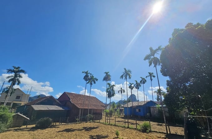 A vignette of Tan Hoa village today. Photo: Tam Duc.