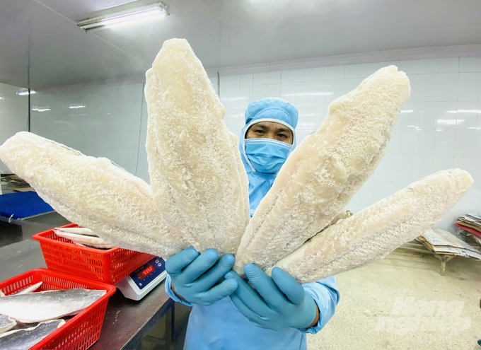 Hiện nay, Cần Thơ có 45 doanh nghiệp đủ điều kiện xuất khẩu gạo trực tiếp và 44 doanh nghiệp chế biến xuất khẩu thủy sản với vùng nguyên liệu ở khắp các tỉnh thành vùng ĐBSCL. Ảnh: Lê Hoàng Vũ.