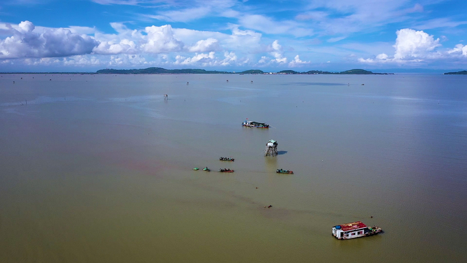 Năm 2020, vùng nuôi 'Lenger Fam' của Lenger Seafood Việt Nam đã đạt chứng nhận vùng nuôi ngao bền vững theo tiêu chuẩn ASC đầu tiên trên thế giới. Ảnh: Quang Dũng.