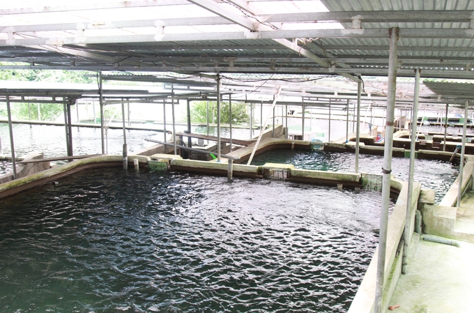 Cơ sở nuôi cá tầm, cá hồi của ông Nguyễn Quang Huy ở huyện Mù Cang Chải được đầu tư xây dựng kiên cố, hiện đại. Ảnh: Thanh Tiến.