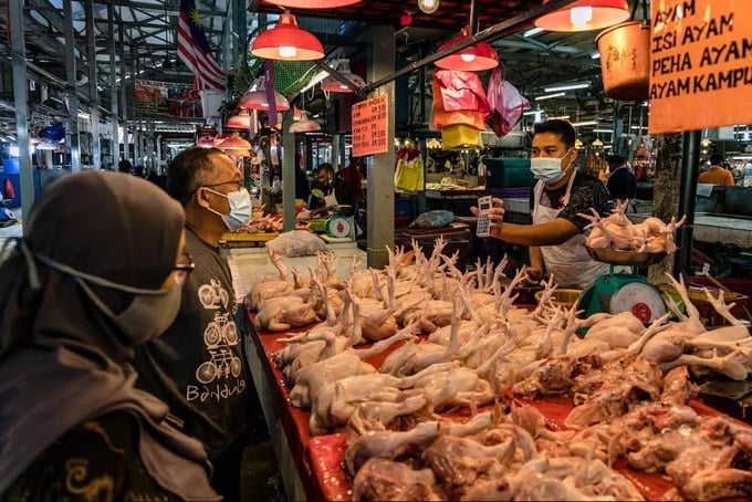 Người dân mua gà tại khu chợ Kampung Baru ở thủ đô Kuala Lumpur, Malaysia. Ảnh: FocusMalaysia.