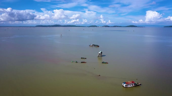 The 'Lenger Farm' area under Lenger Seafood Vietnam obtained the world's first ASC certification for sustainable clam farming in 2020. Photo: Quang Dung.