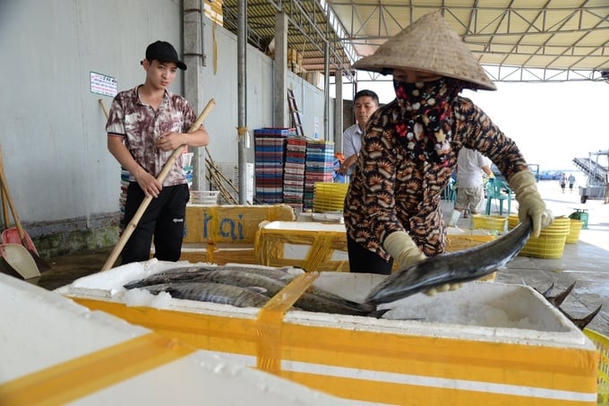 Nam Dinh fishermen return to port after a trip offshore. Photo: Huy Binh.