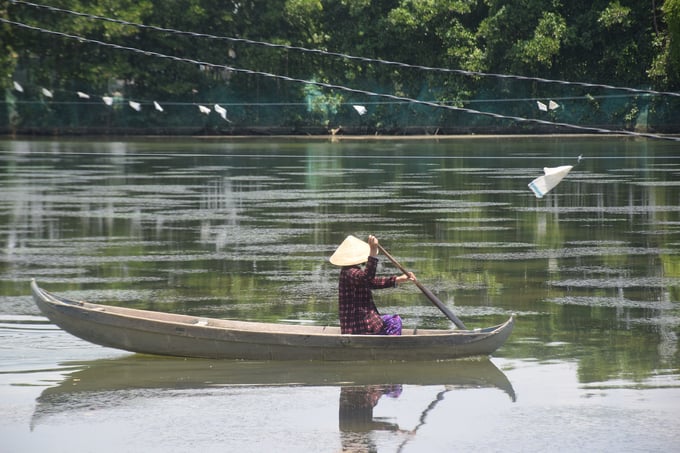 Người dân sống ven đầm Thị Nại ở huyện Tuy Phước (Bình Định) đang phát triển mạnh nghề nuôi tôm xem cua, cá trong ao nuôi có cây ngập mặn. Ảnh: V.Đ.T.