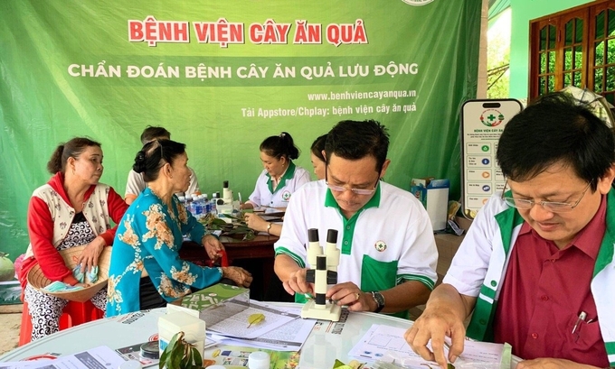 Tiến sĩ Nguyễn Văn Hòa (bìa phải) - Phó Viện trưởng Viện Cây ăn quả miền Nam và các đồng nghiệp đang chẩn đoán bệnh hại cây trồng và tư vấn cho các nhà vườn cách phòng trị trong một đợt đi khám bệnh lưu động. Ảnh: Minh Đảm.