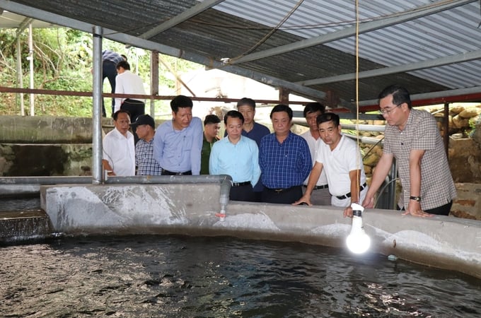 Bộ trưởng Bộ NN-PTNT Lê Minh Hoan (thứ 3 từ phải) thăm trại cá nước lạnh của ông Nguyễn Quang Huy ở huyện Mù Cang Chải, Yên Bái. Ảnh: Thanh Tiến.