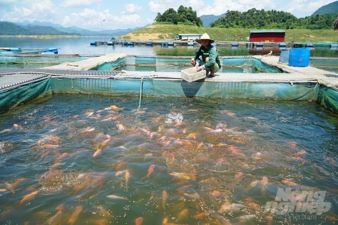 Cage fish farming and Eco-tourism on hydroelectric reservoir