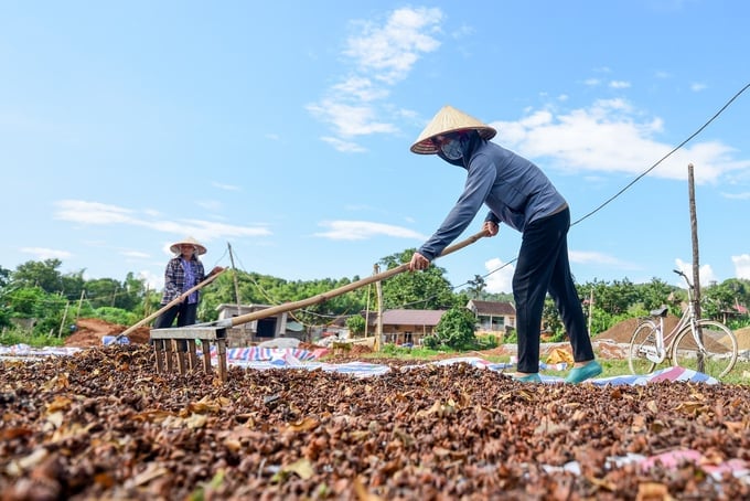 Agriculture's investment is limited and farmers face risks with their backlog products. Photo: Tung Dinh.