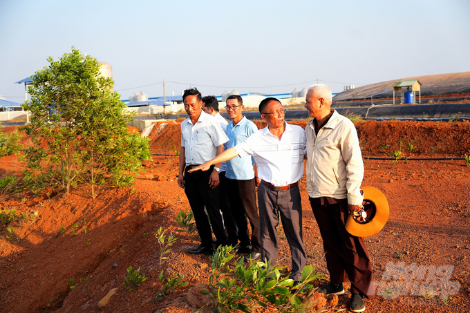 Mr. Ho Gam (second from right), Chairman of the Dak Nong Provincial Farmers' Association, was very excited to see this modern livestock farm with his own eyes. Photo: Hong Thuy.