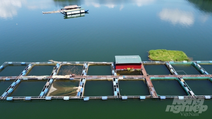 Hiện nay, trên lòng hồ thủy lợi Cửa Đạt, có 166 lồng nuôi trồng thủy sản, trong đó 100 lồng được chứng nhận VietGAP. Ảnh: Quốc Toản.