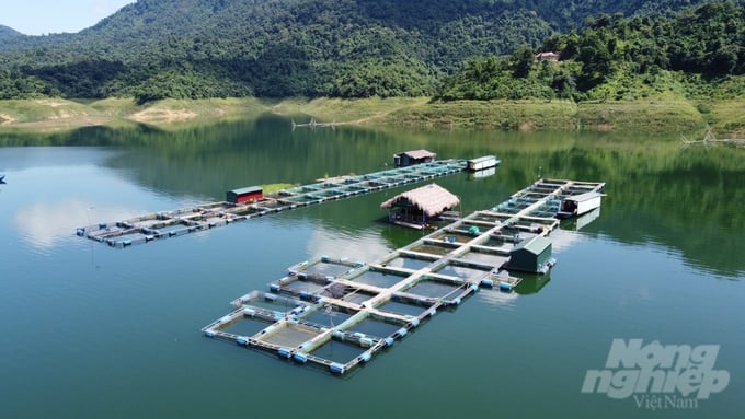 Cage fish farming in combination with ecotourism represents a new direction in the development of agricultural production, thereby contributing to the increased income of local residents. Photo: Tam Phung.