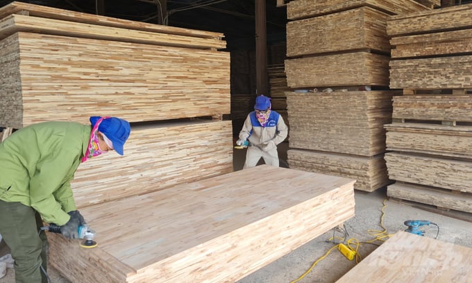 With a substantial expanse of raw forests and an abundant workforce, the wood industry in Nghe An province is sufficiently equipped to expand and conquer even the most demanding markets. Photo: Viet Khanh.